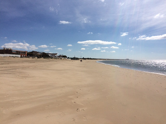 Ihr Traum-Ferienhaus am Strand