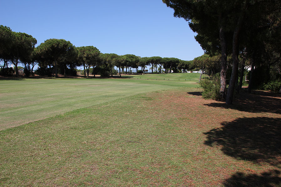 Fairway 1 Fairway 1